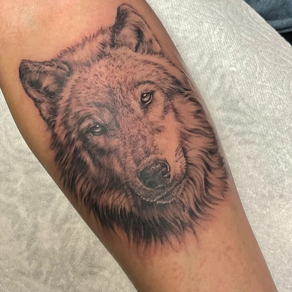 Striking loyalty alpha wolf face forearm tattoo