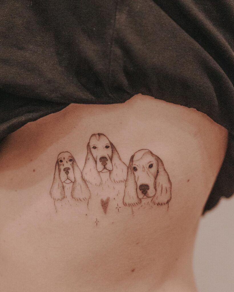 Three Cocker Spaniel Portraits in a Line on the Rib: Row of Royalty
