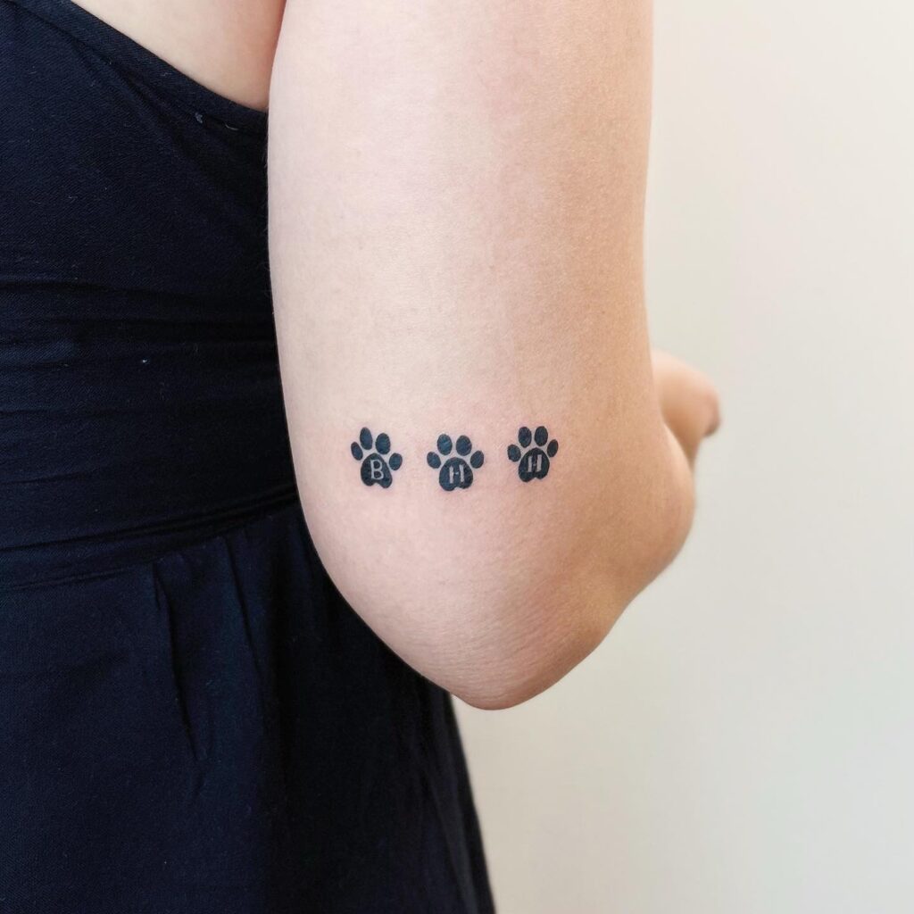 Three Dog Paws Placed Above the Elbow, Each with Inside Letters B, H, H: Elbow Elegance