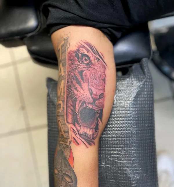 Tiger Bicep Tattoo 1