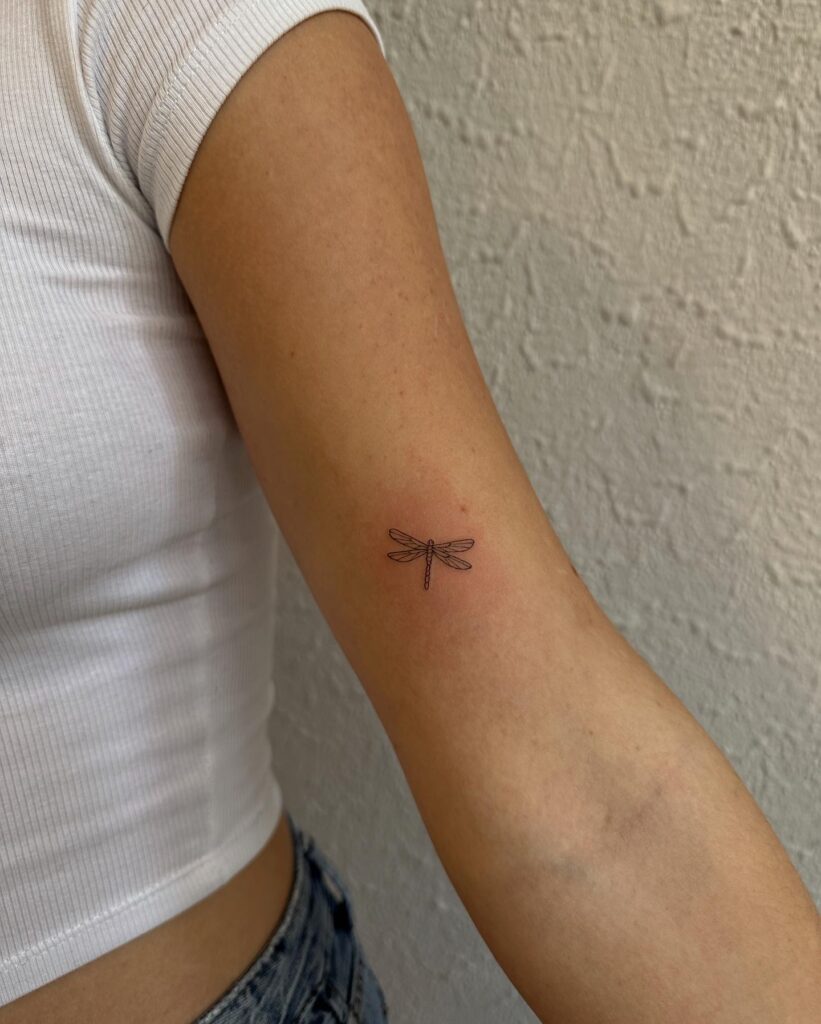 Tiny dragonfly tattoo on the inner arm for females, a delicate touch: dragonfly grace