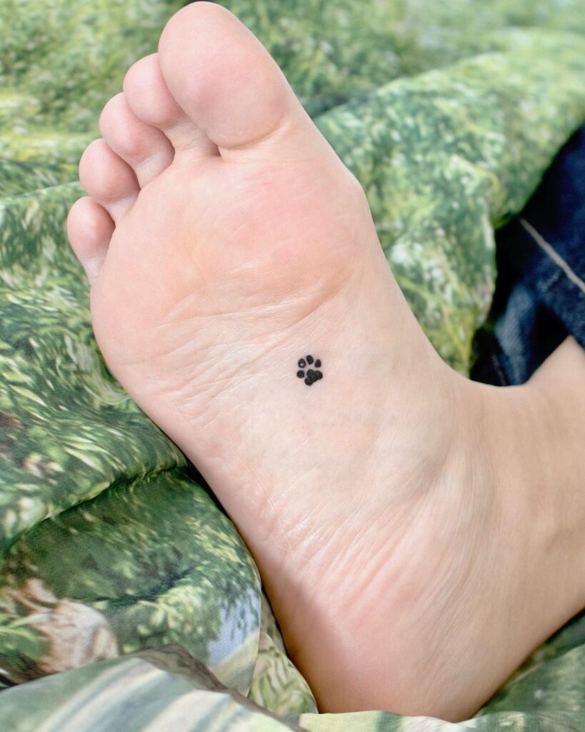Tiny impressions 1-inch paw print on the bottom of the foot