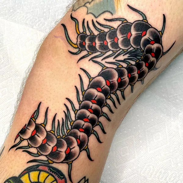 Traditional Centipede Tattoo