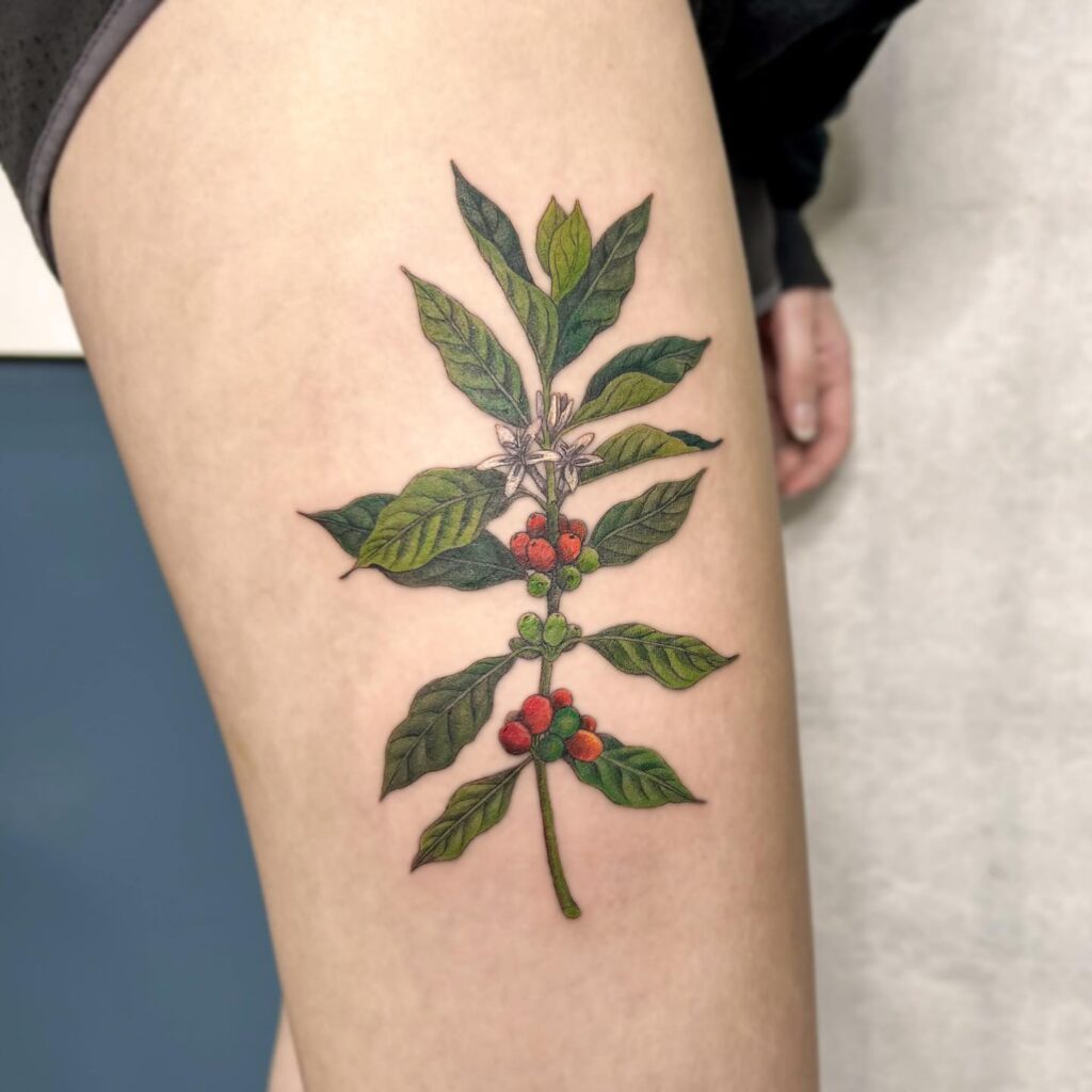 Traditional coffee plant thigh tattoo for women classic beauty