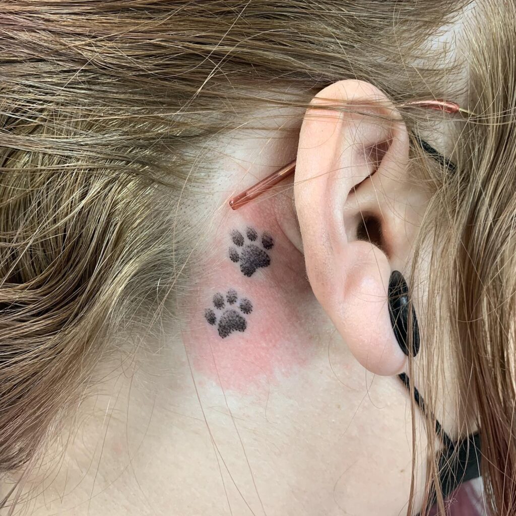Two Small Paw Print Tattoos Behind the Ear for a Subtle Statement: Ear Elegance